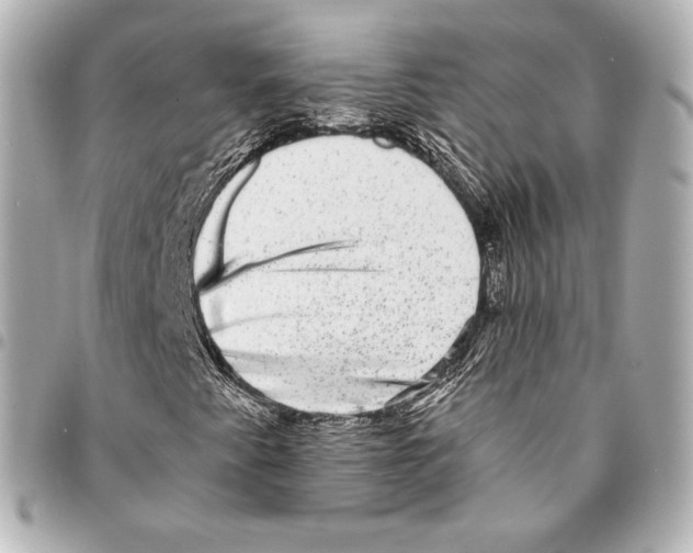 X0000094961345200712271711