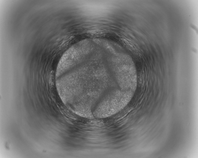 X0000094961346200712271710