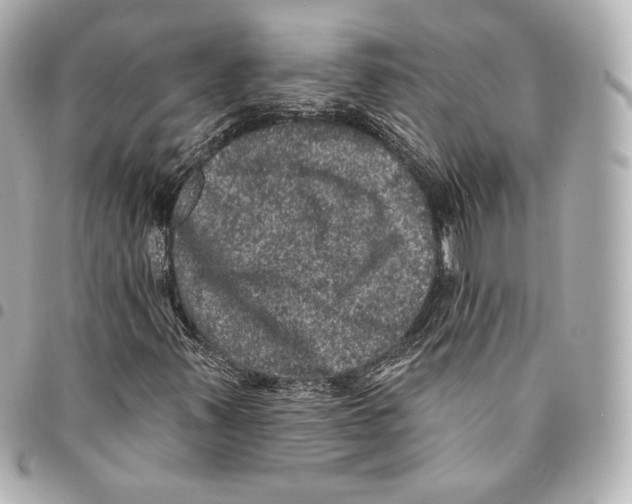 X0000094961347200712271710