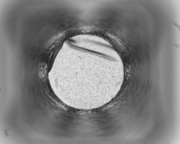 X0000094961349200712271710