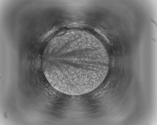 X0000094961350200712271710