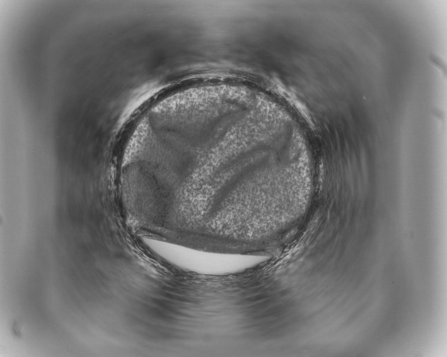 X0000094961352200712271710