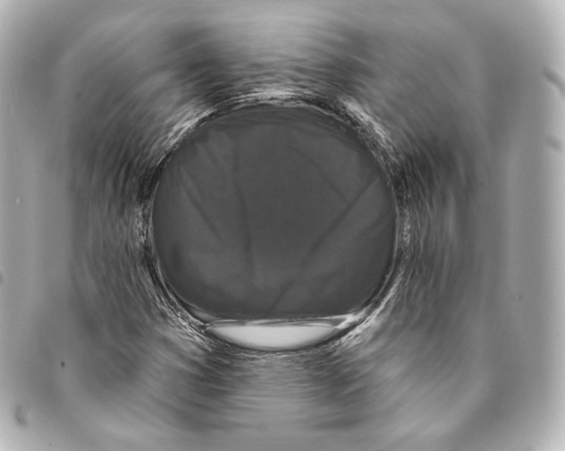 X0000094961353200712271710