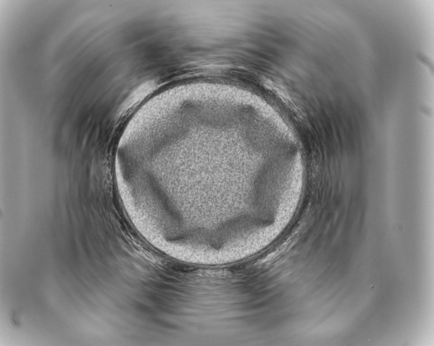 X0000094961354200712271710