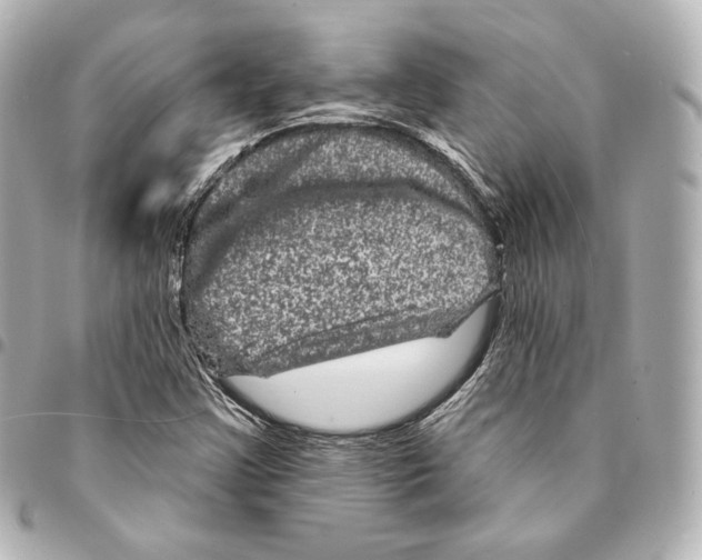 X0000094961355200712271710