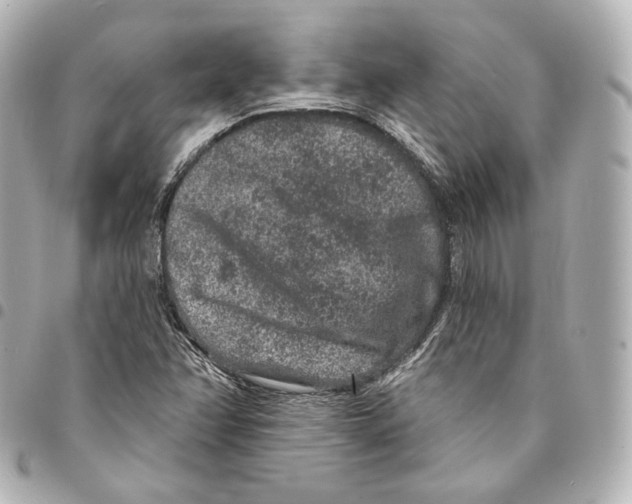 X0000094961358200712271710