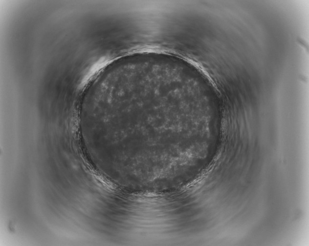 X0000094961359200712271710