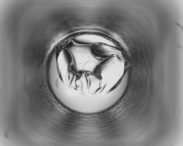 X0000094961360200712271710