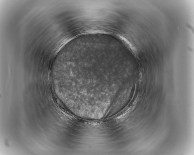X0000094961361200712271710