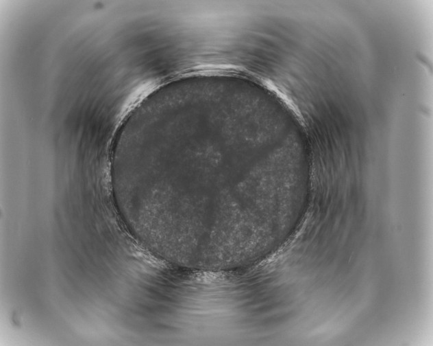 X0000094961362200712271710