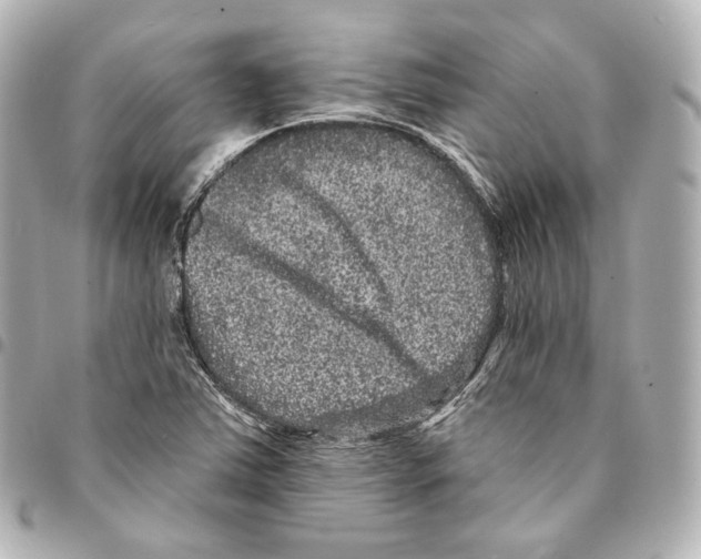 X0000094961363200712271710
