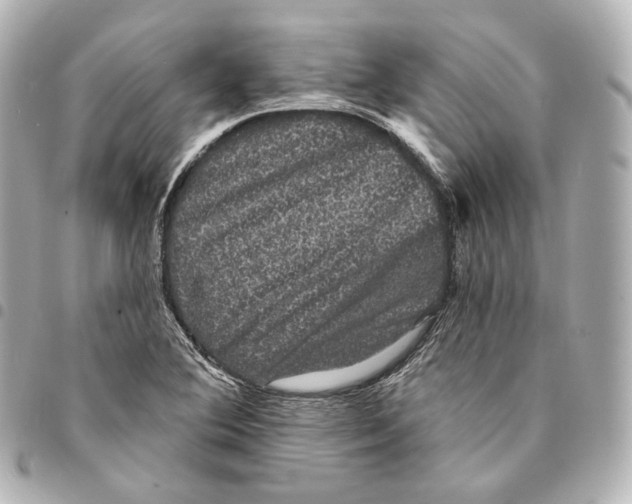 X0000094961364200712271710