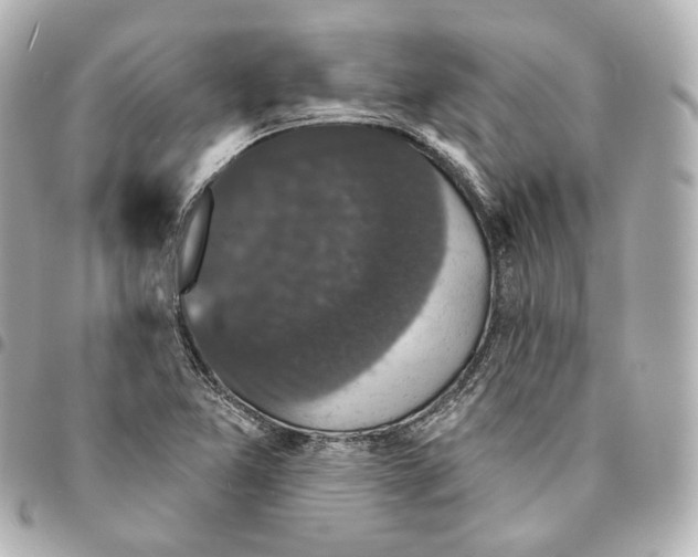 X0000094961365200712271710
