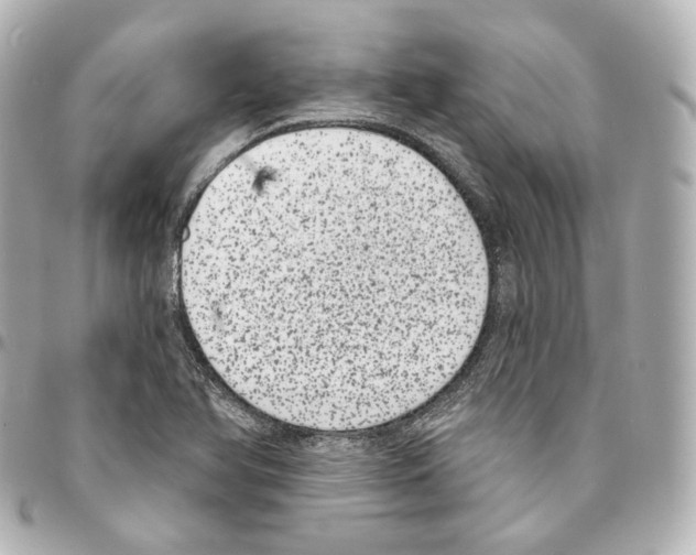 X0000094961366200712271710