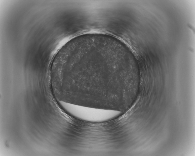 X0000094961367200712271710