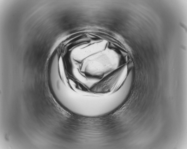 X0000094961368200712271710