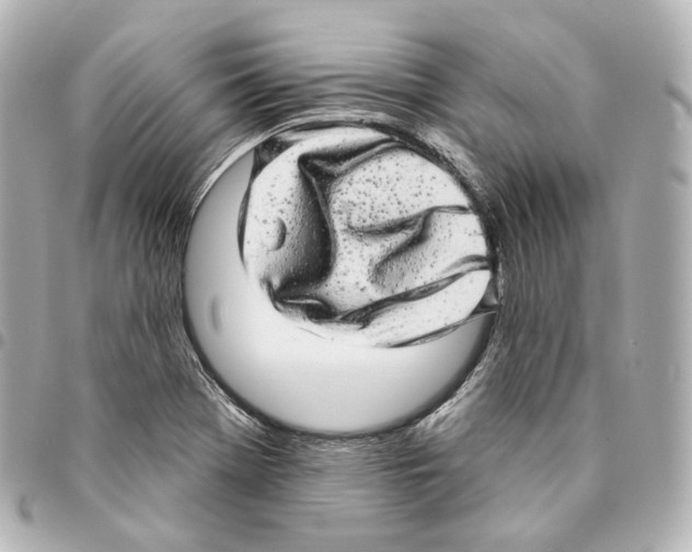 X0000094961369200712271710