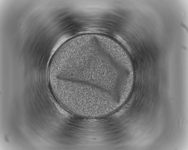 X0000094961370200712271710