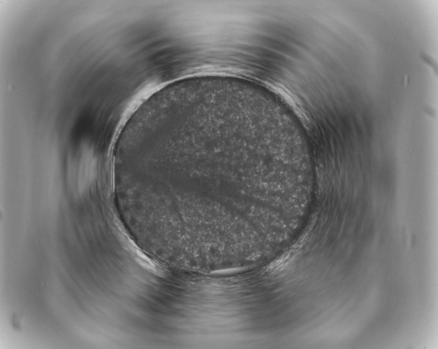 X0000094961371200712271710