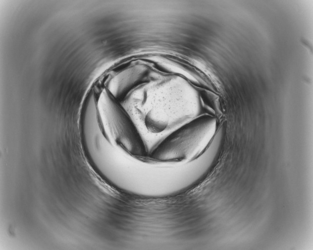 X0000094961372200712271710