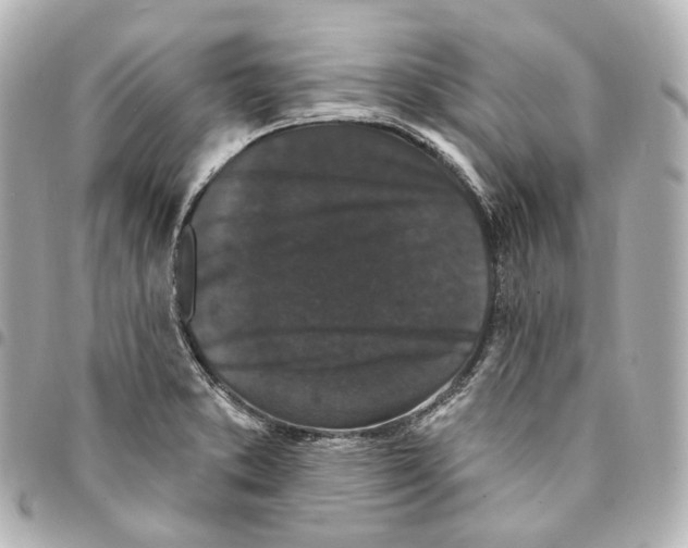 X0000094961373200712271710