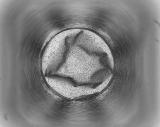 X0000094961374200712271710