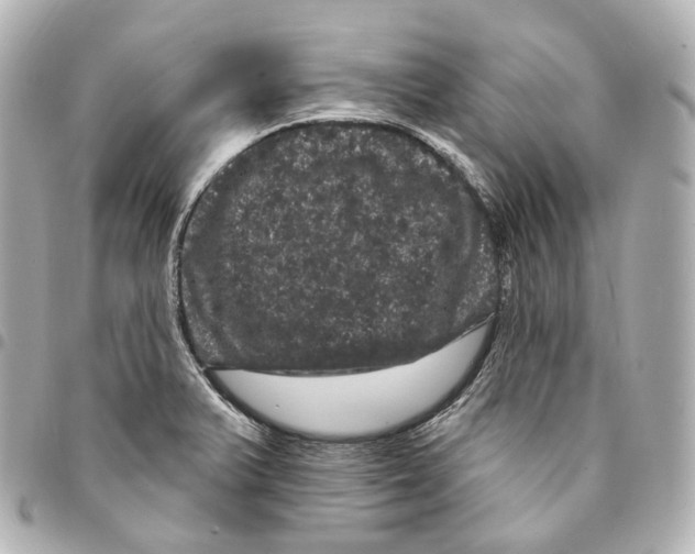 X0000094961375200712271710