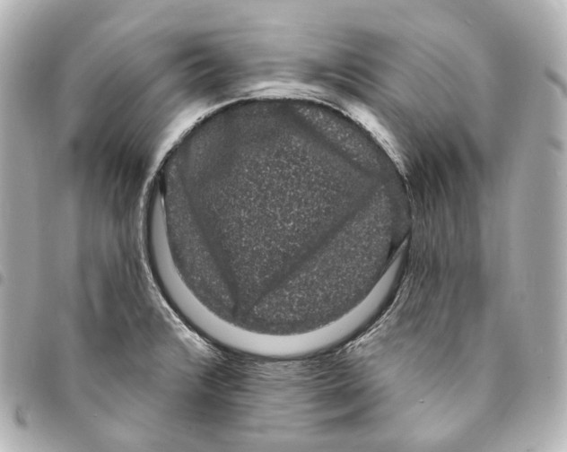 X0000094961376200712271710