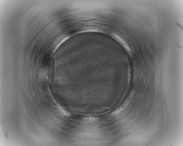 X0000094961377200712271710