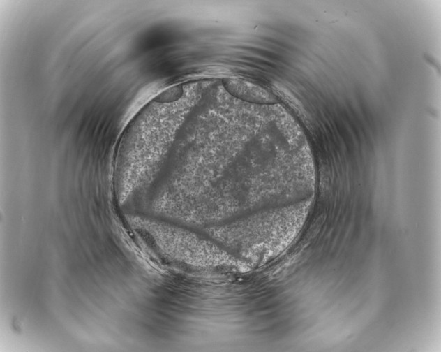 X0000094961378200712271710