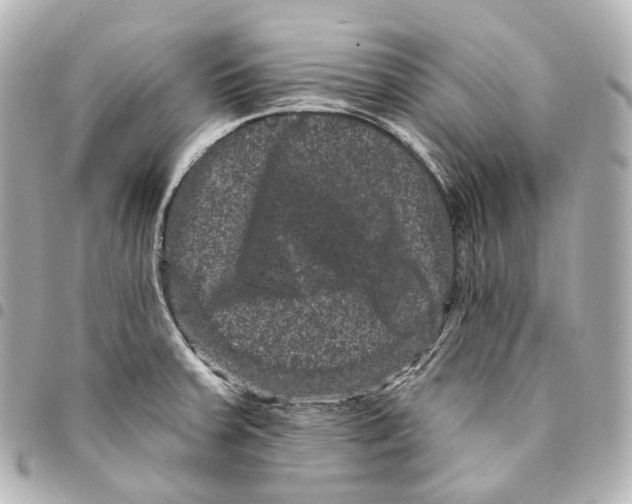 X0000094961379200712271710