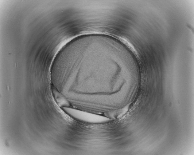 X0000094961380200712271710