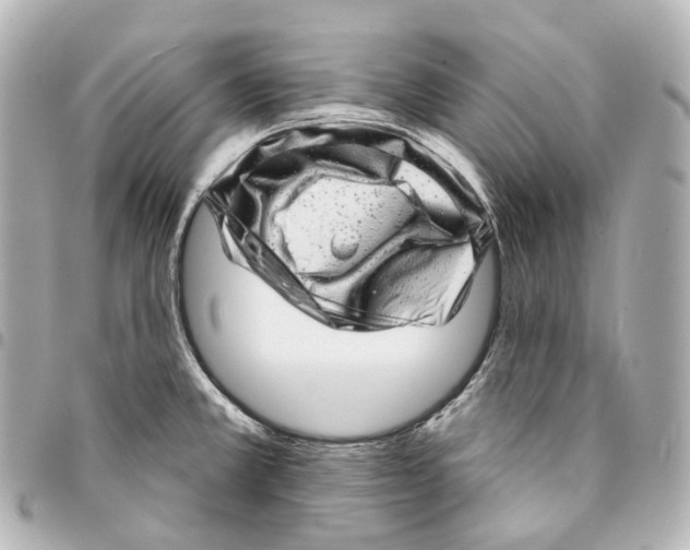 X0000094961381200712271710
