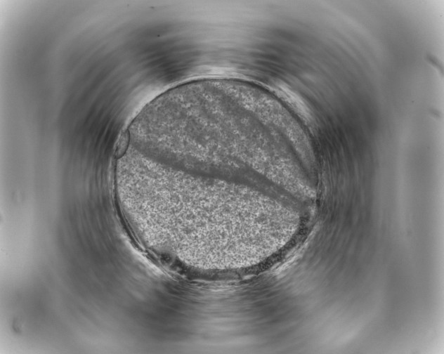 X0000094961382200712271710