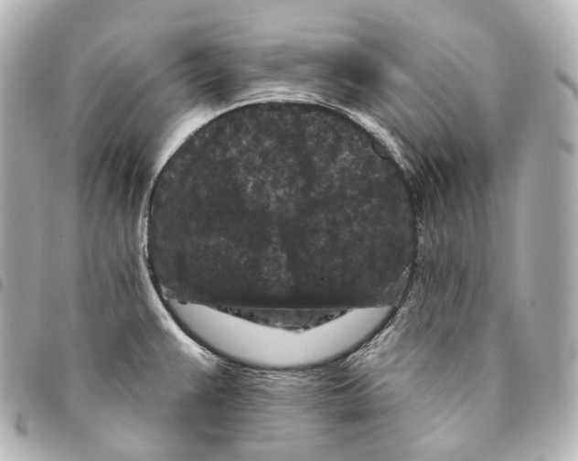 X0000094961383200712271710