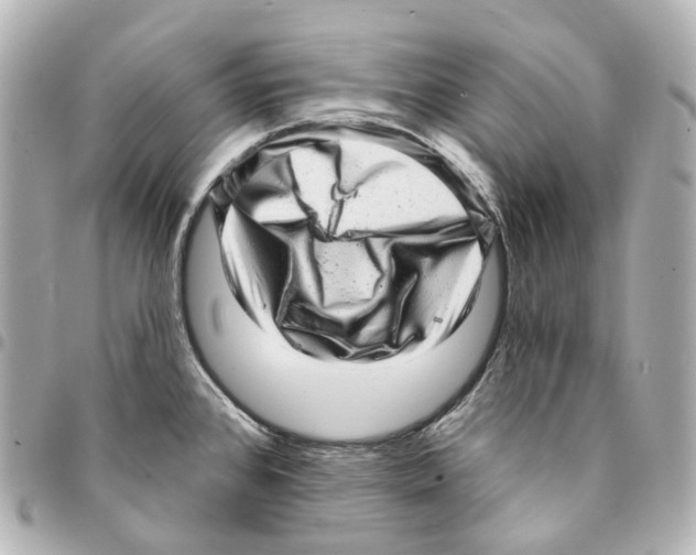 X0000094961384200712271710