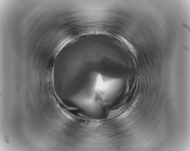 X0000094961385200712271710