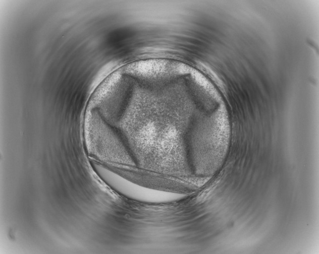 X0000094961386200712271710