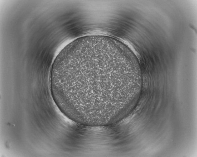 X0000094961387200712271710