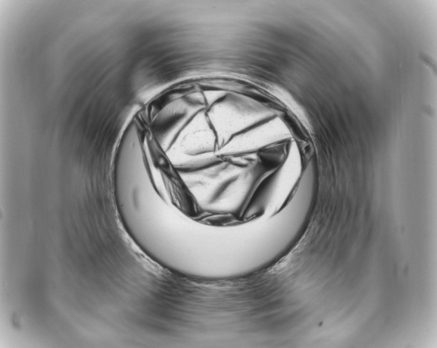 X0000094961388200712271710