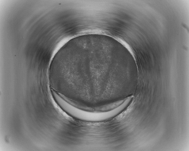X0000094961389200712271710