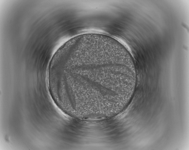 X0000094961391200712271710