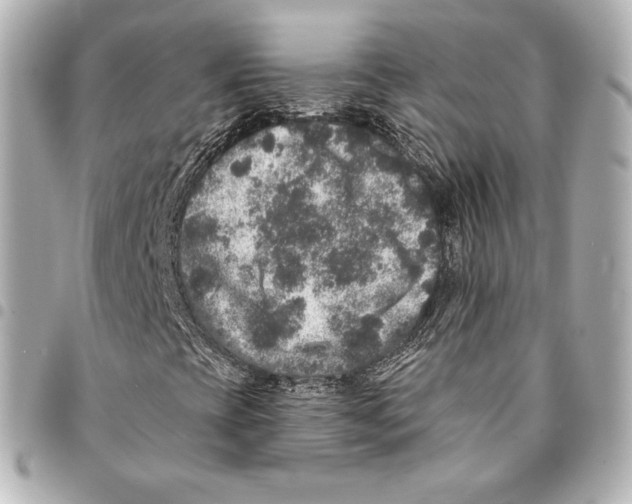 X0000094961393200712271709