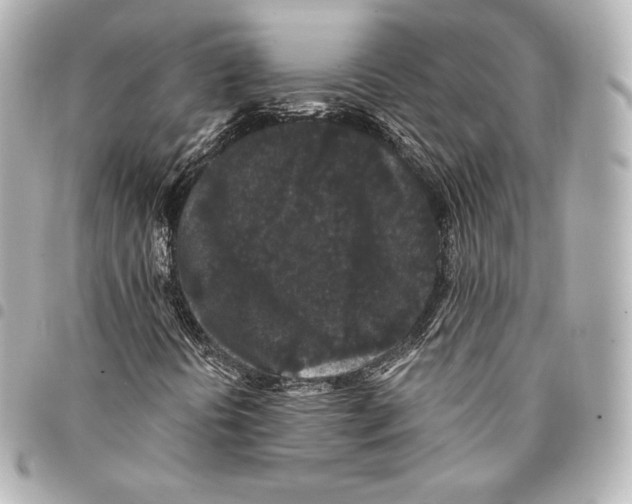 X0000094961394200712271709