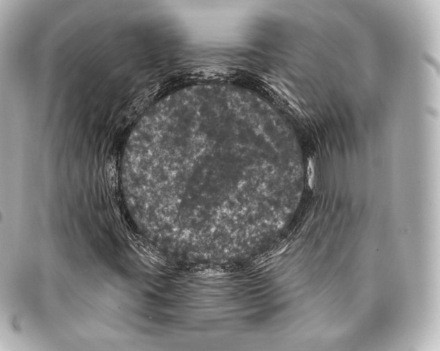 X0000094961395200712271709