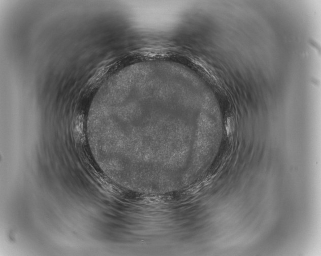 X0000094961396200712271709