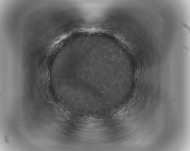 X0000094961398200712271709