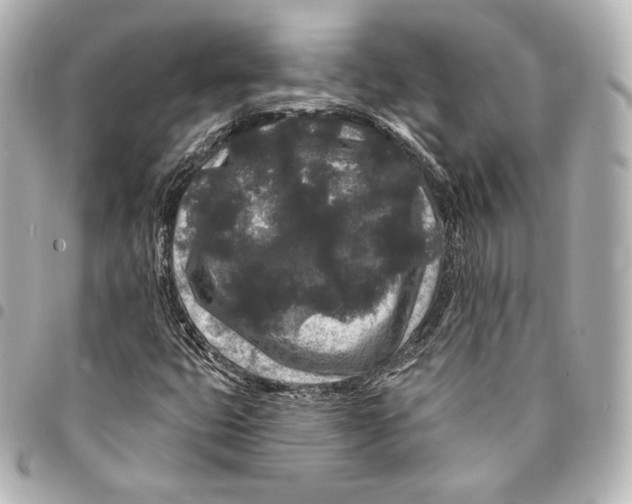 X0000094961399200712271709