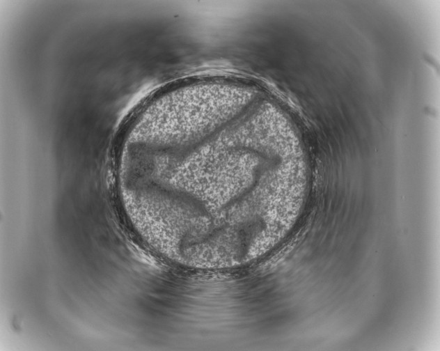 X0000094961400200712271709