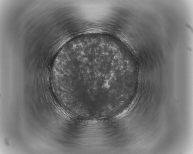 X0000094961401200712271709